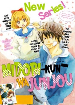 Midori Kun Wa Junjou